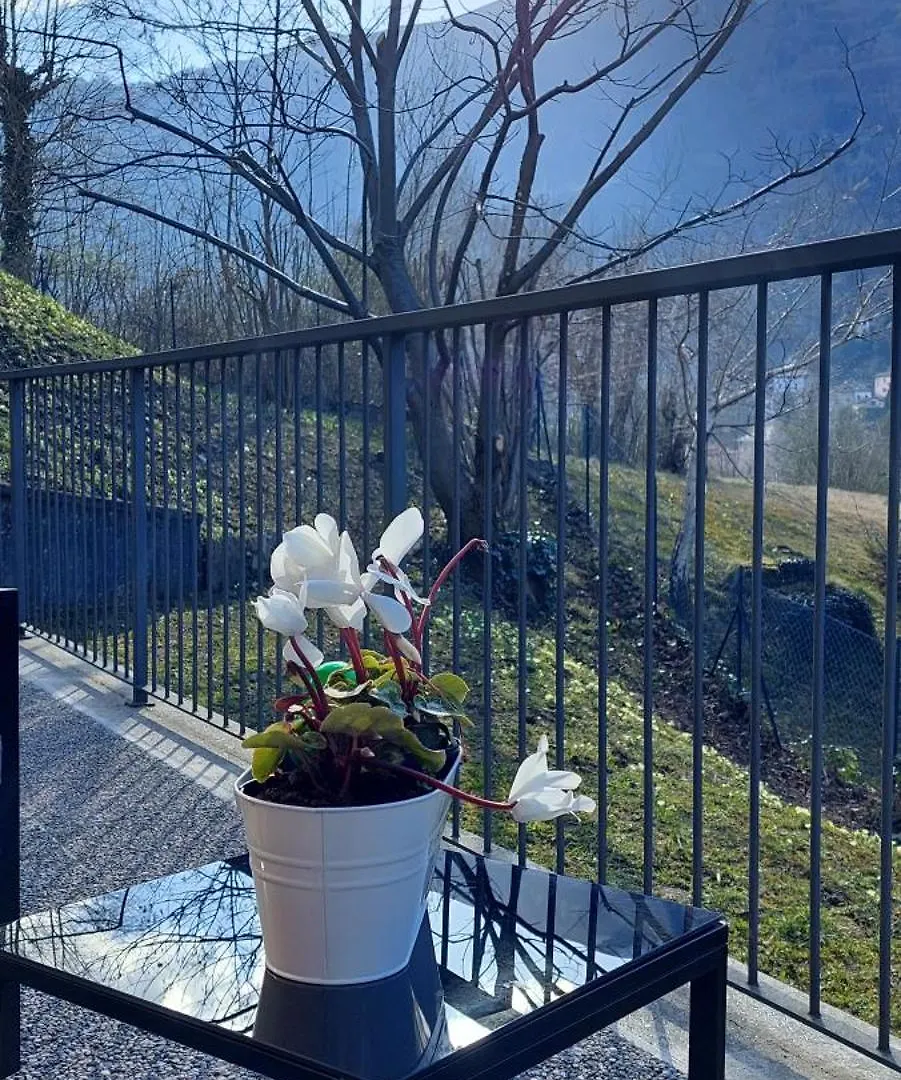 Appartement Casa Laura Zona Bellagio à Magreglio